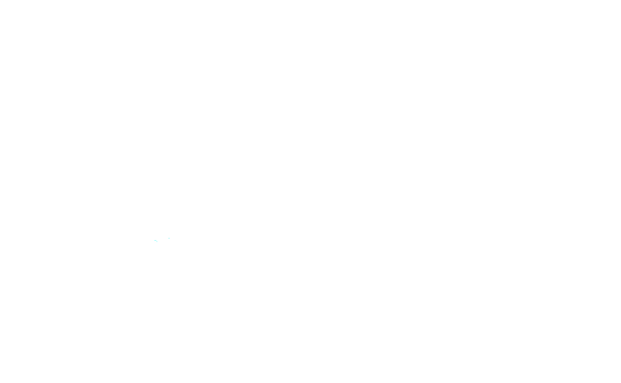The Tal-Y-Cafn logo
